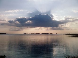 Берега низкие, поросшие тростником, рого