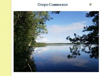 На севере в озеро впадает небольшой руче