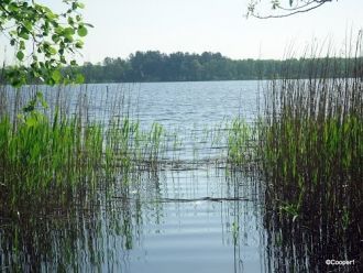 Дно до глубины 10 м выслано песком, ниже