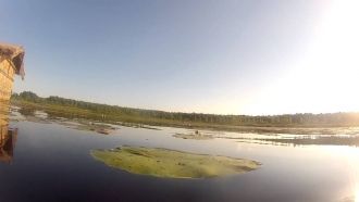 В озере обитают окунь, плотва, лещ, щука