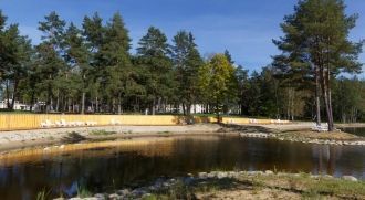 Из растительности есть камыш, аир, трост