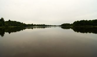 Максимальная ширина достигает почти 1.5 