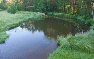 Дно озера устлано большим количеством ро