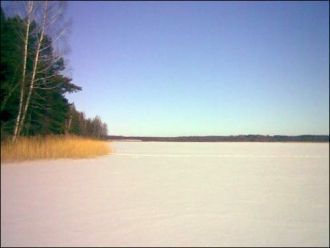 Затем песок сменяет сапропель (органичес