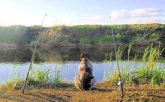 Сток отсутствует, лишь в период высокого