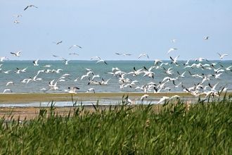 По одной из версий, название озера проис