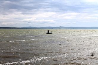 Водная растительность разнообразна, что 