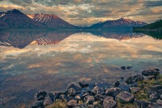 Зоопланктон представлен преимущественно 