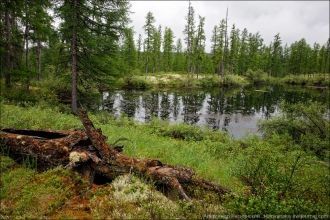 Основной приток в озеро приносят реки Дм