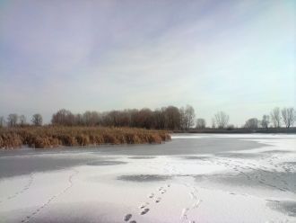 Площадь водосбора 1259 км2.