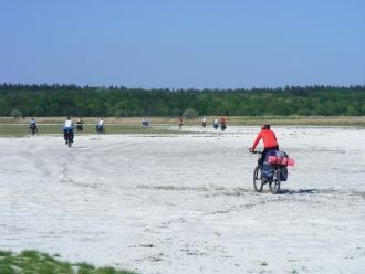 Вдоль берега озера Соленый Лиман.