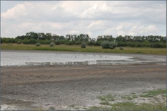 В  центре  озера расположен  вытянутый  