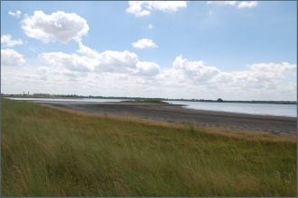 Вблизи  Соленого  Лимана   Днепропетровс