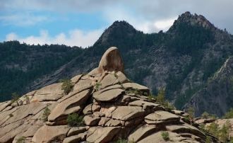 Кроме того, здесь произрастает большое к