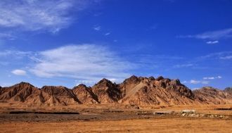 Птицы появляются здесь разве что во врем