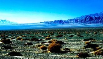 Повсюду корковые солончаки, возникшие на