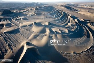В песках — кусты тамариска и селитрянки.