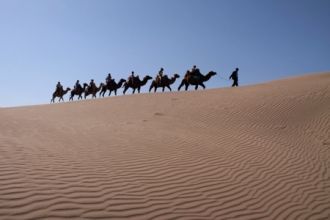 Пустыня Ордос