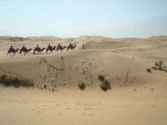 Интересен факт, что плодородное плато на