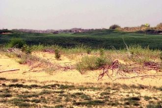 С этой точки зрения пустыня Ордос характ