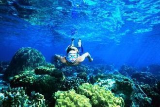 Кратер Молокини - дайверский рай.