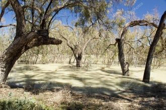 Обычно ее воды теряются в озерах и болот