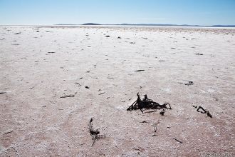 Озеро покрывает более 160 километров в д