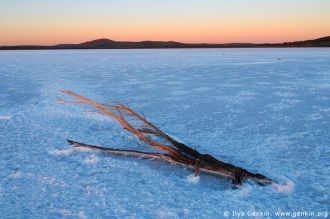 Даже в период засухи внезапно может пойт