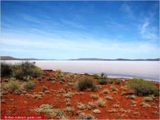В сочетании с красными песчаными холмами