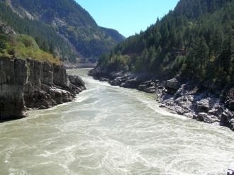 Большой белый осетр водится в реке кругл