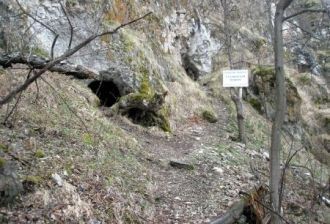 Все входы в пещеру (их 4) заложены в осн