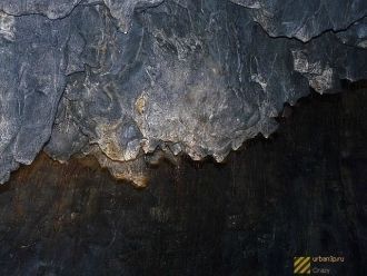 Соседствуют с удивительными цветами еще 