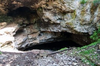 Входное отверстие её приурочено к днищу 