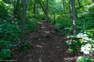 Тропа до пещеры.