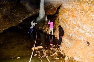 Наиболее крупный имеет высоту 7 м. Они о