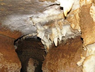 Планомерные ежегодные исследования, пров