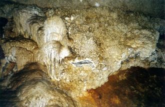 Первые сведения о ней поступили от охотн