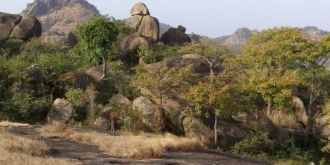 Внешне они напоминают знаменитые 