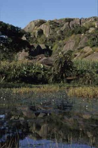 Познакомиться с местной природой можно и