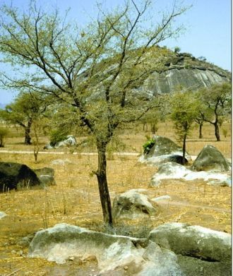 В этом районе известны залежи урановых р
