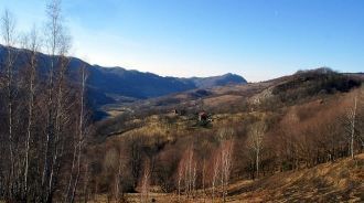 Большую часть года деревья (особенно ака