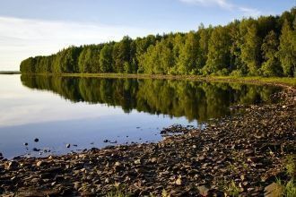 С появлением здесь лесопильных предприят