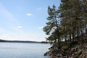 Исследователь предположил, что эти необы