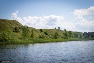 Берега низкие, на севере заболоченные; с