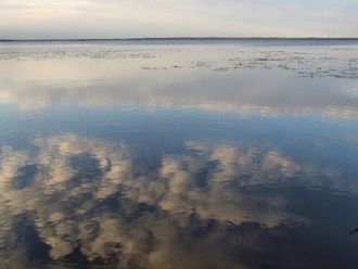 Рамсарской конвенцией признано угодьем м