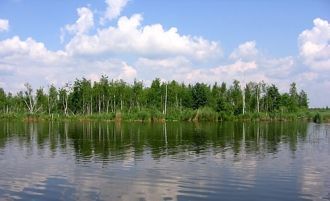 Город принадлежал полоцкому воеводе Глеб