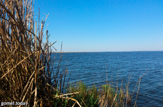 С запада, северо-запада и востока в него