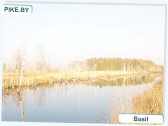 Мелиоративные работы повлияли на гидроло