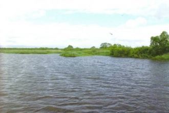 По данным УГМС БССР, до 60-х годов площа