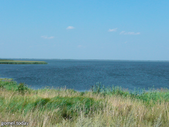 Однажды на охоте познакомился княжич с д